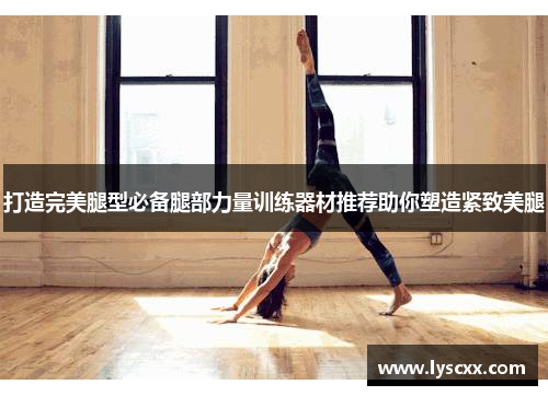打造完美腿型必备腿部力量训练器材推荐助你塑造紧致美腿